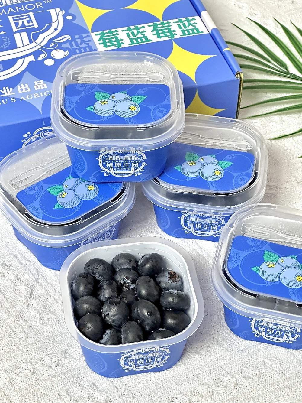 不会挑也能吃到好蓝莓！