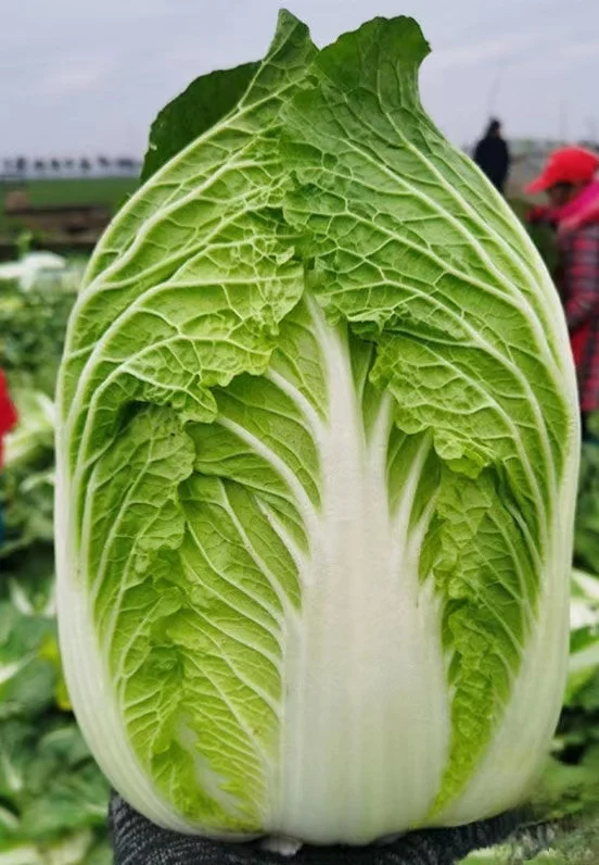 真的破防了！！！