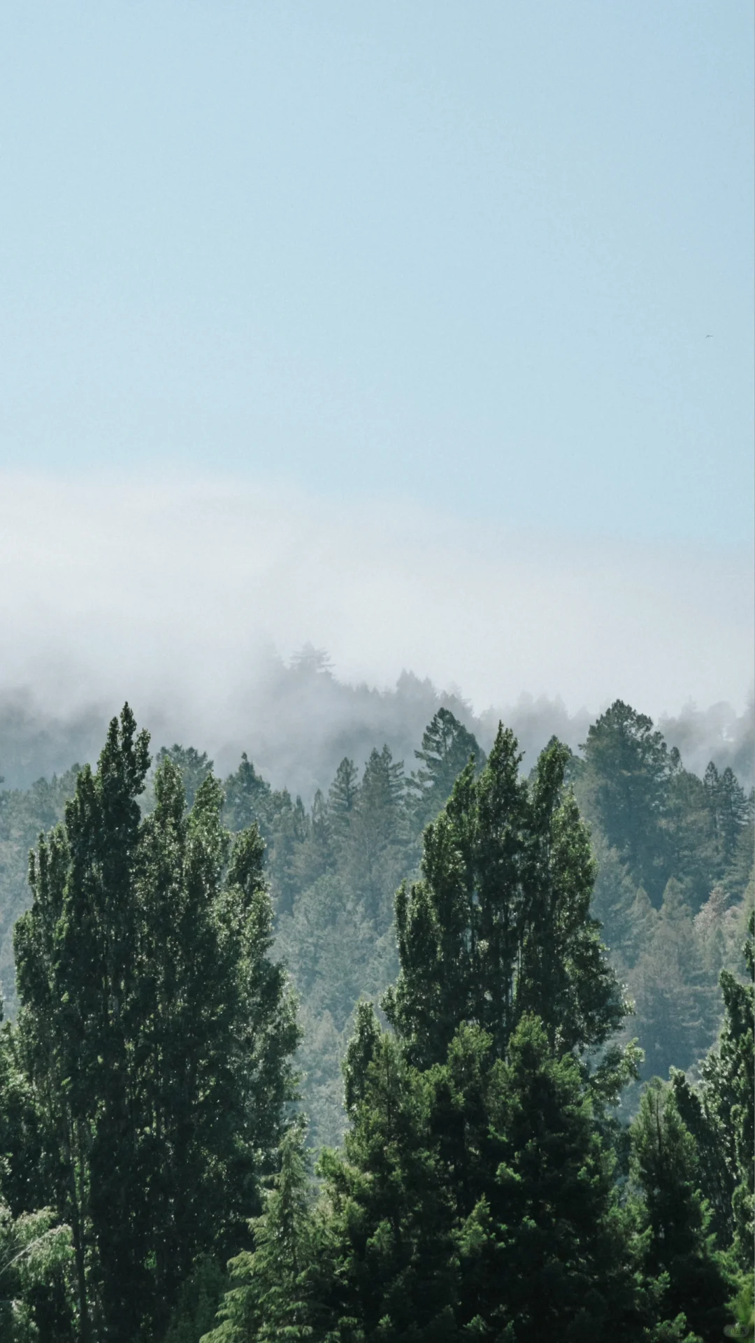 给林学专业的同学们一点找工作思路