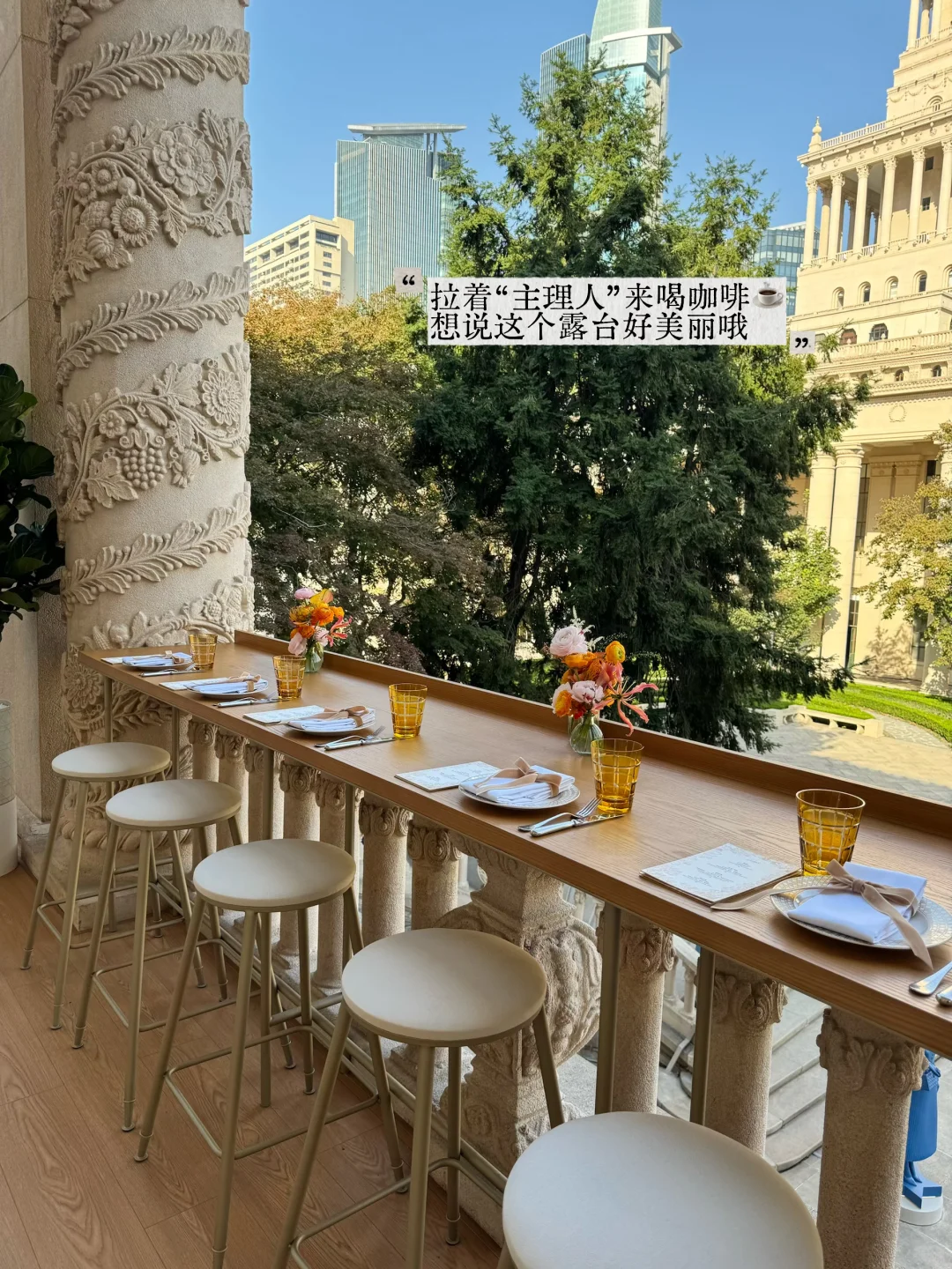 近期Plog☕️审美是需要温度的?️