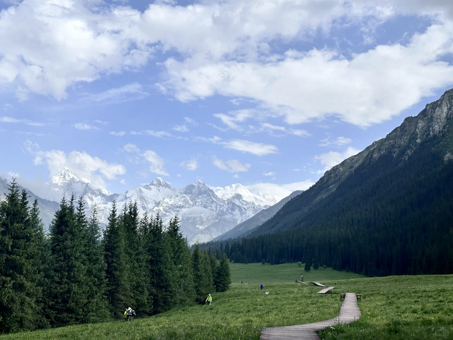 求助帖，林业毕业生们都在干什么