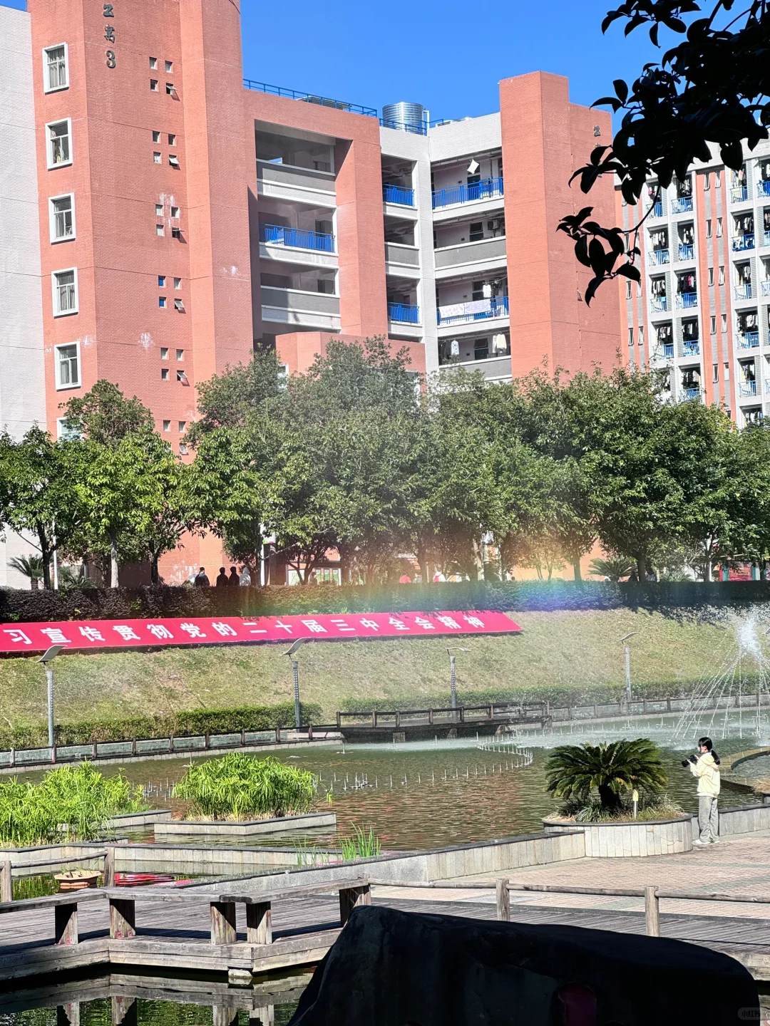 啊啊啊不是林业你也太好看了吧