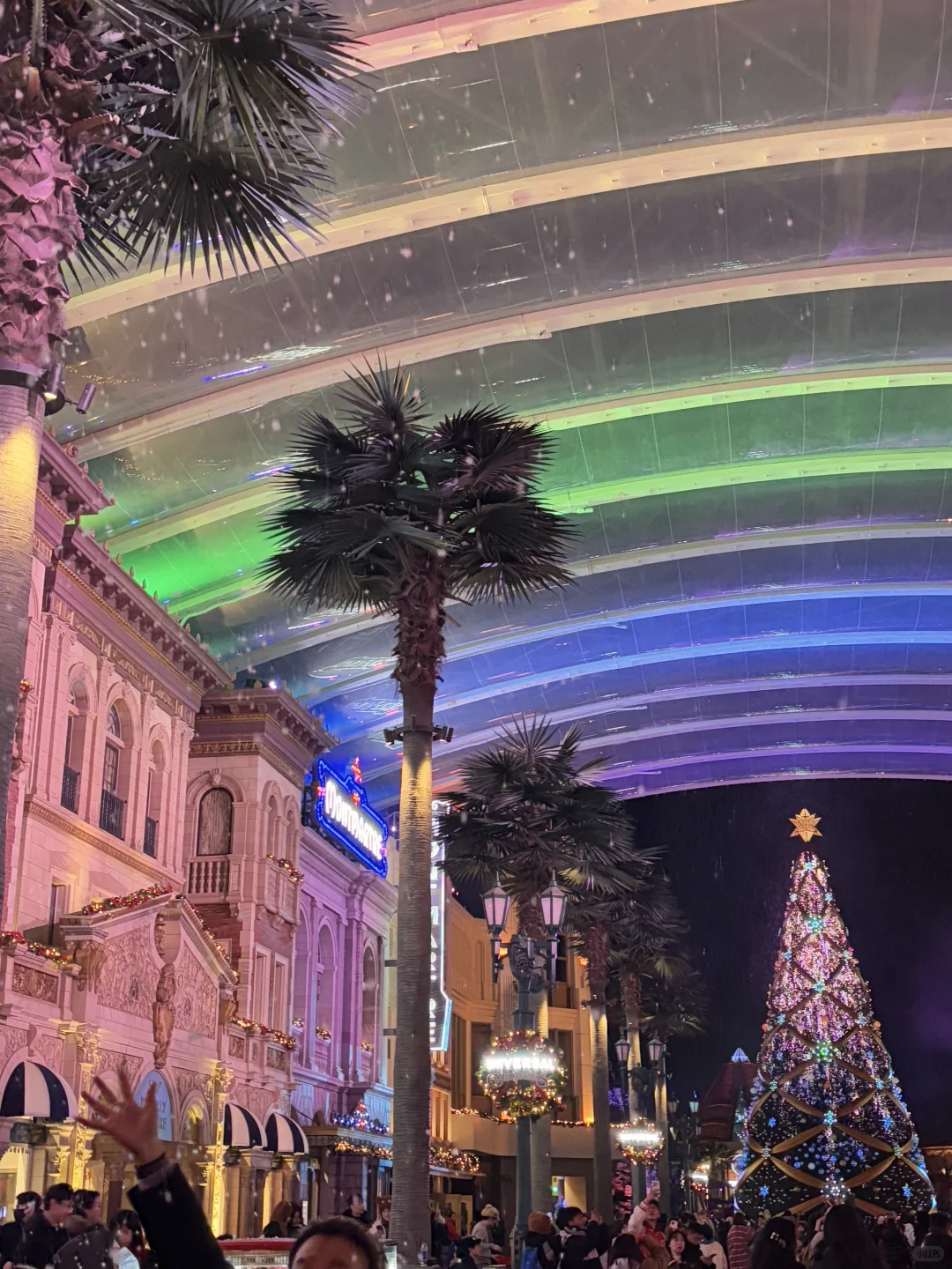 央财日记｜人在图书馆坐，心已到圣诞环球?