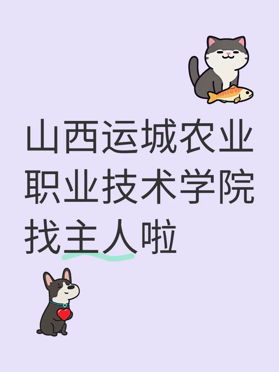 有没有山西运城农业职业技术学院的友友？