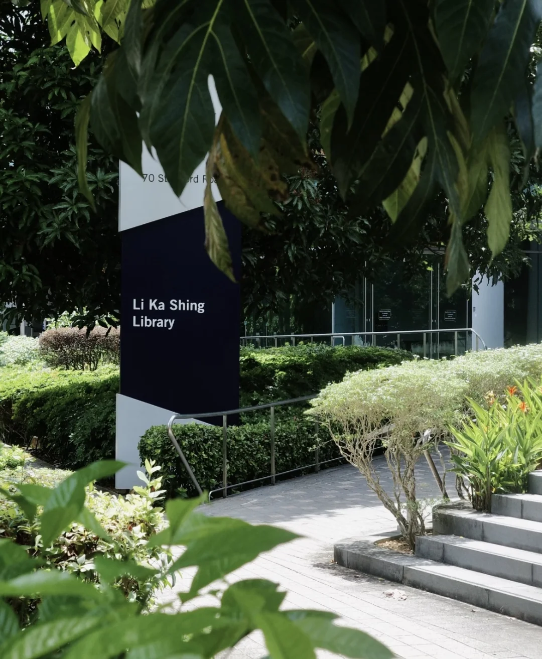 SMU狮城讲堂|超美图书馆