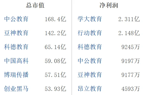 大A教育行业龙头