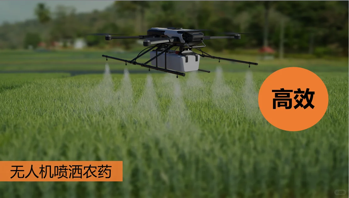 八上4.1中国的农业自用课件分享