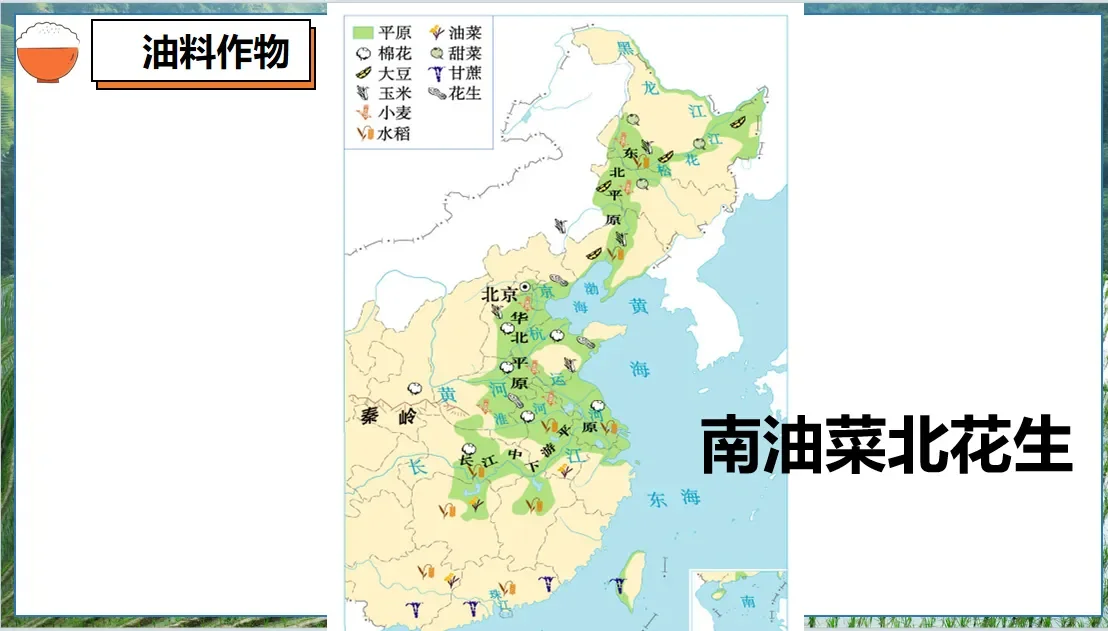 八上4.1中国的农业自用课件分享