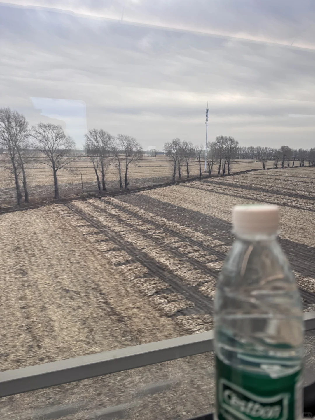 这个冬天快过去吧