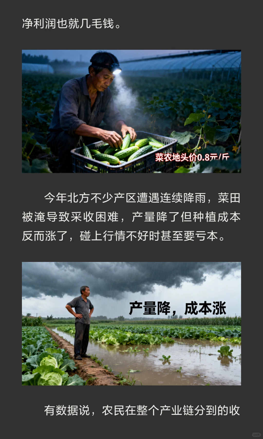 菜价快赶上肉价了！我们的钱到底被谁赚走了