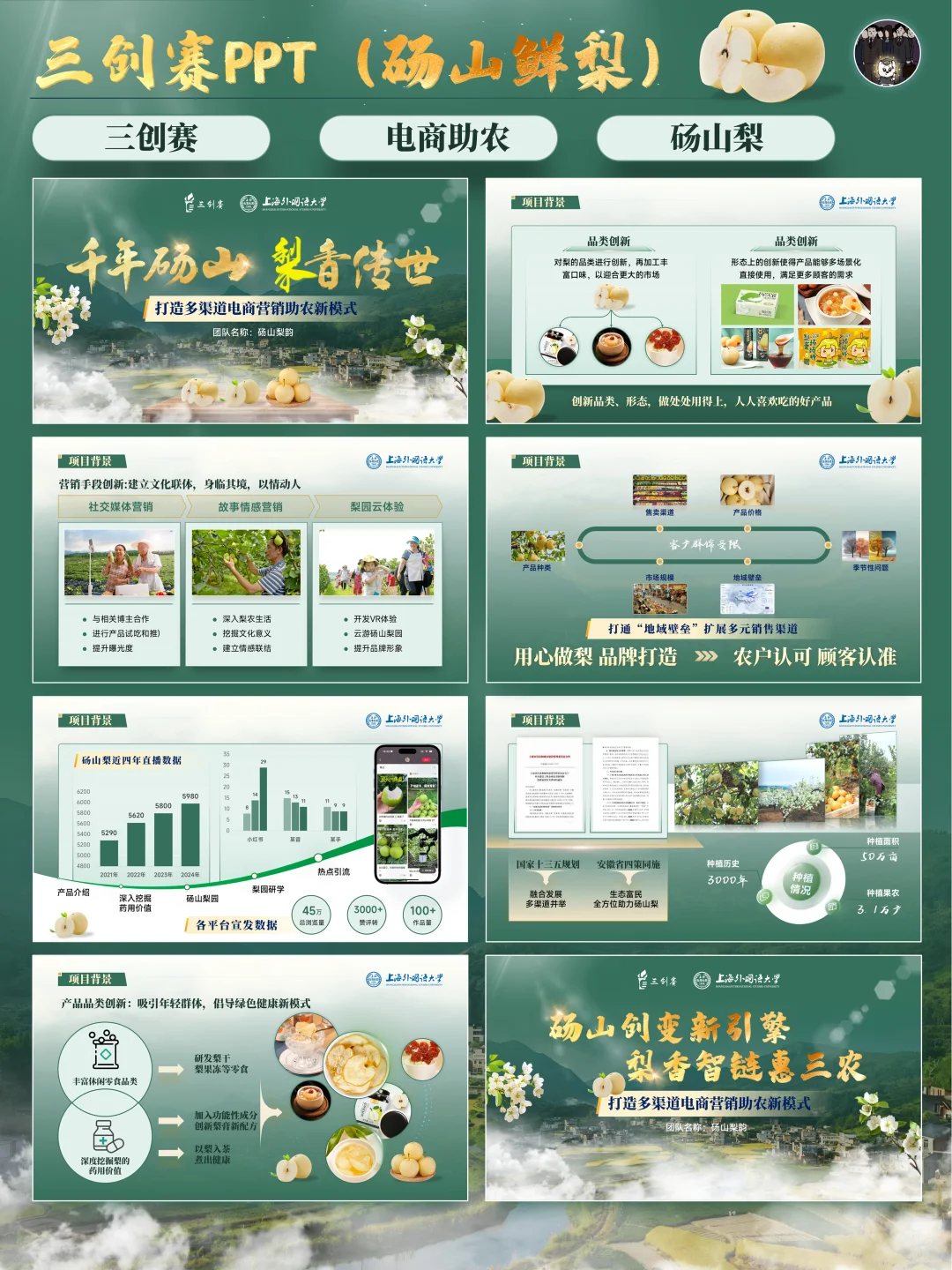 ?三创赛丨乡村振兴赛道电商助农PPT