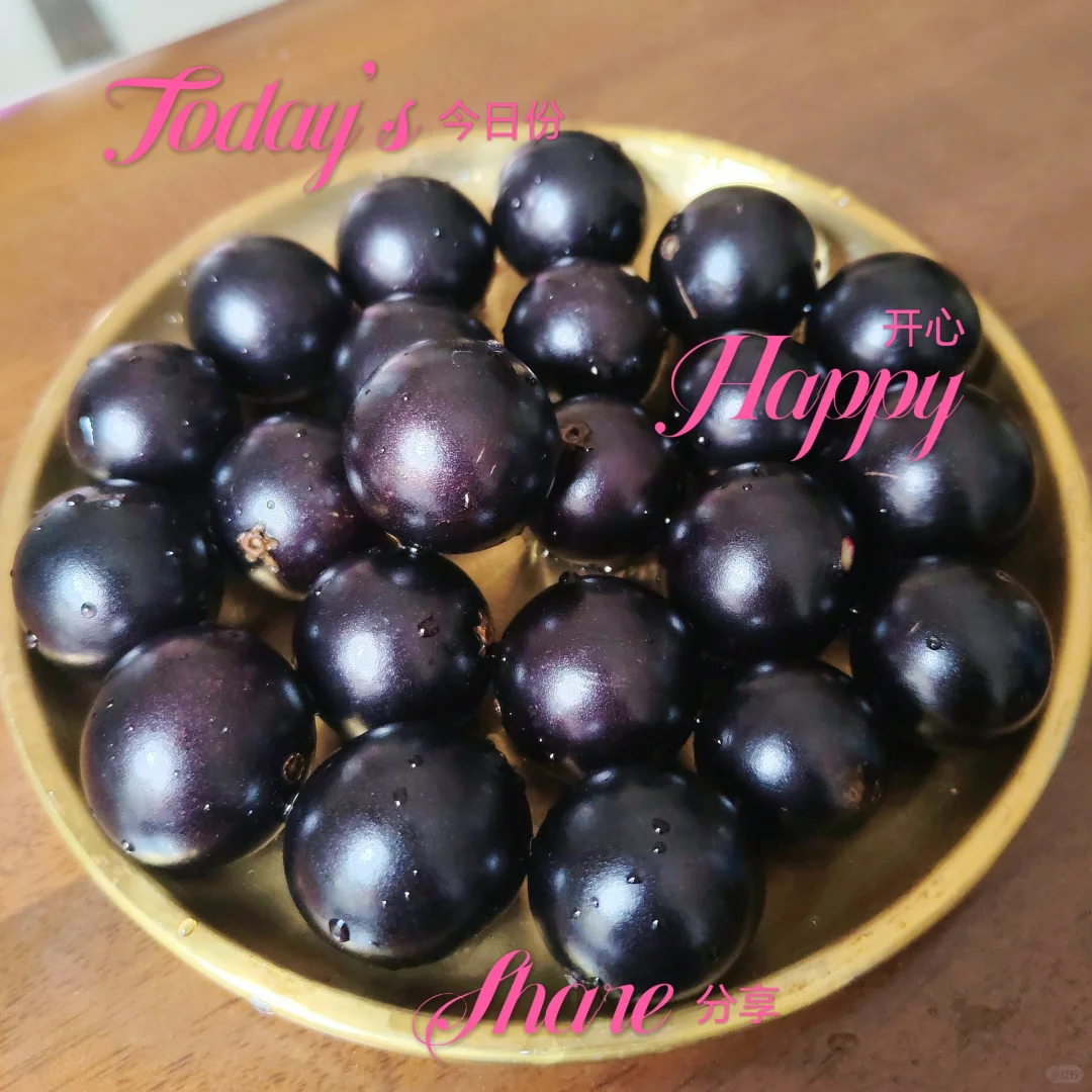 ?花园里的嘉宝果熟了