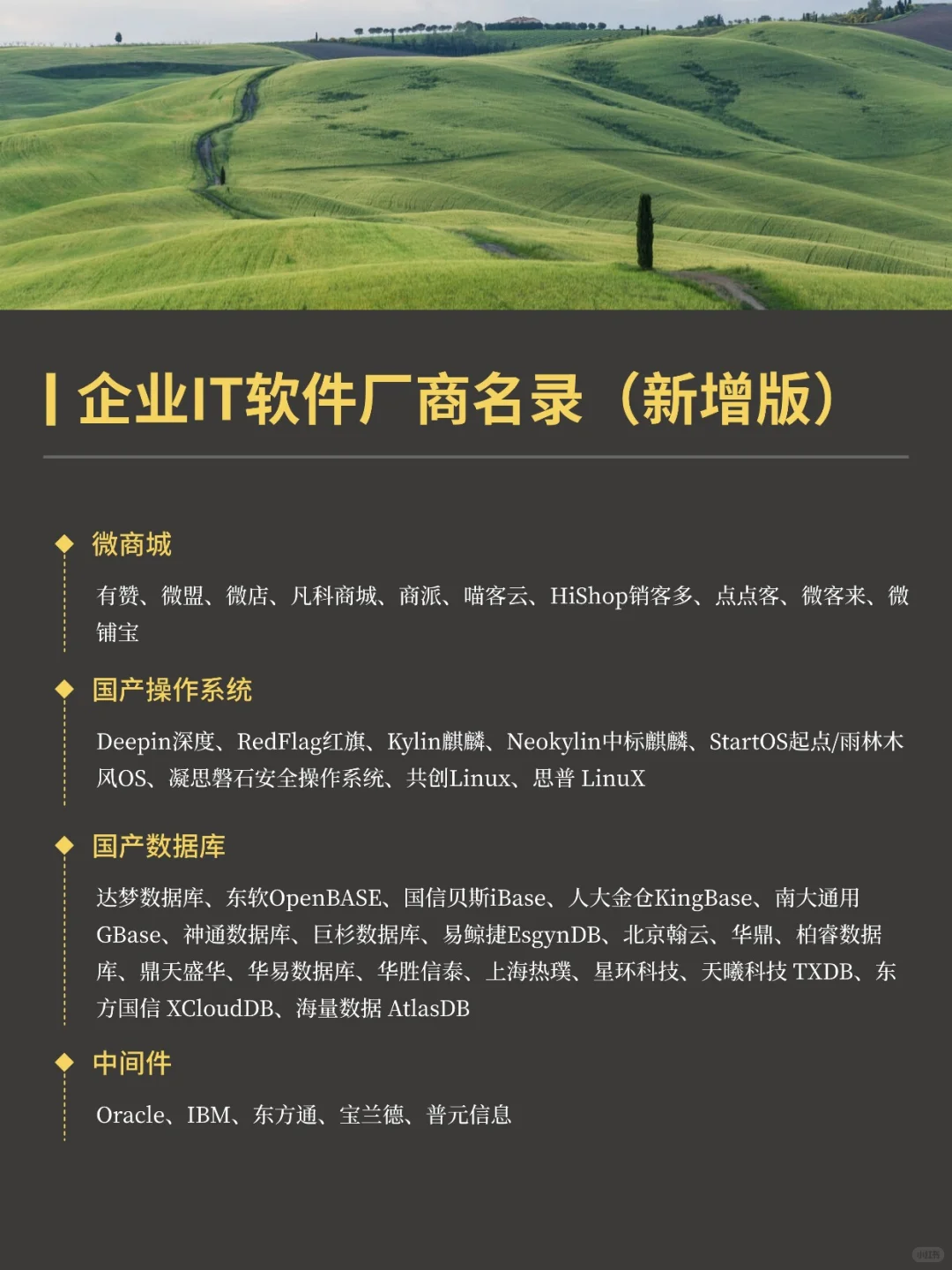 国产IT软件厂商名录更新版！