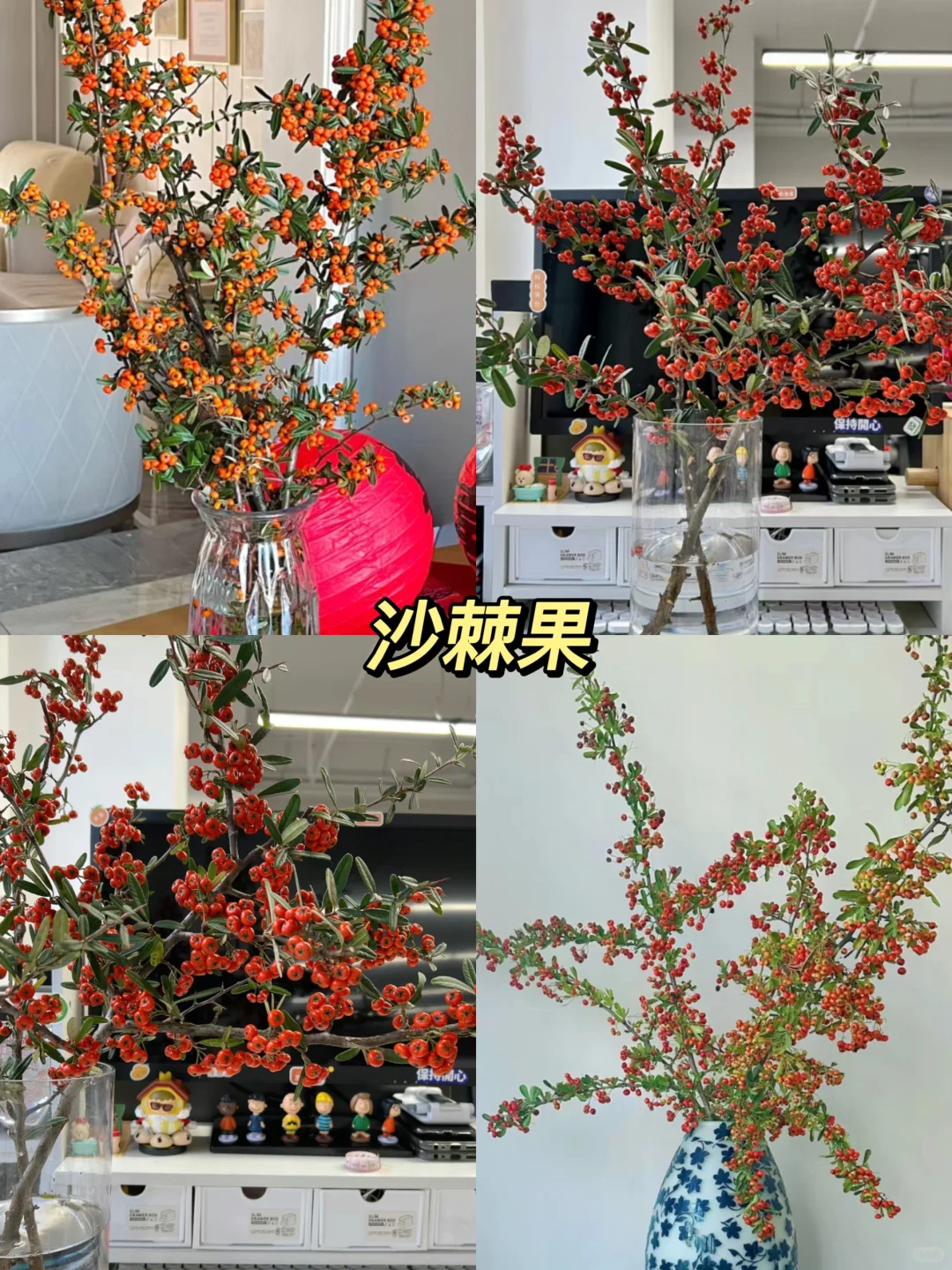 原来还有果实鲜切枝这种东西！！