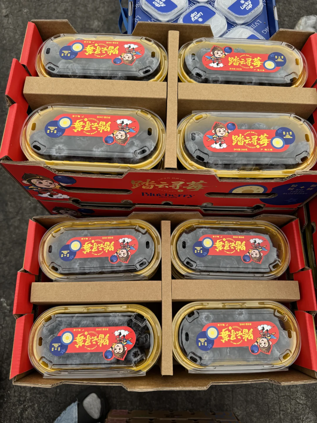 秋冬11月前期应季水果推荐｜好吃的水果品类