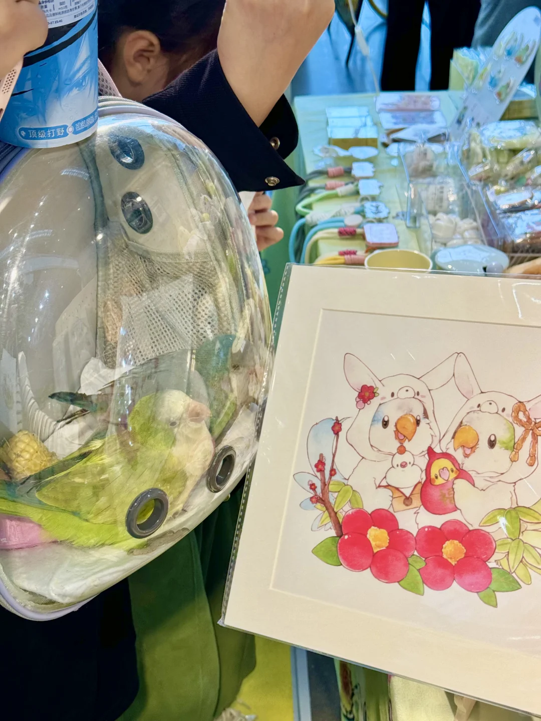 南京宠物博览会｜感谢各位鸟宝们光顾?