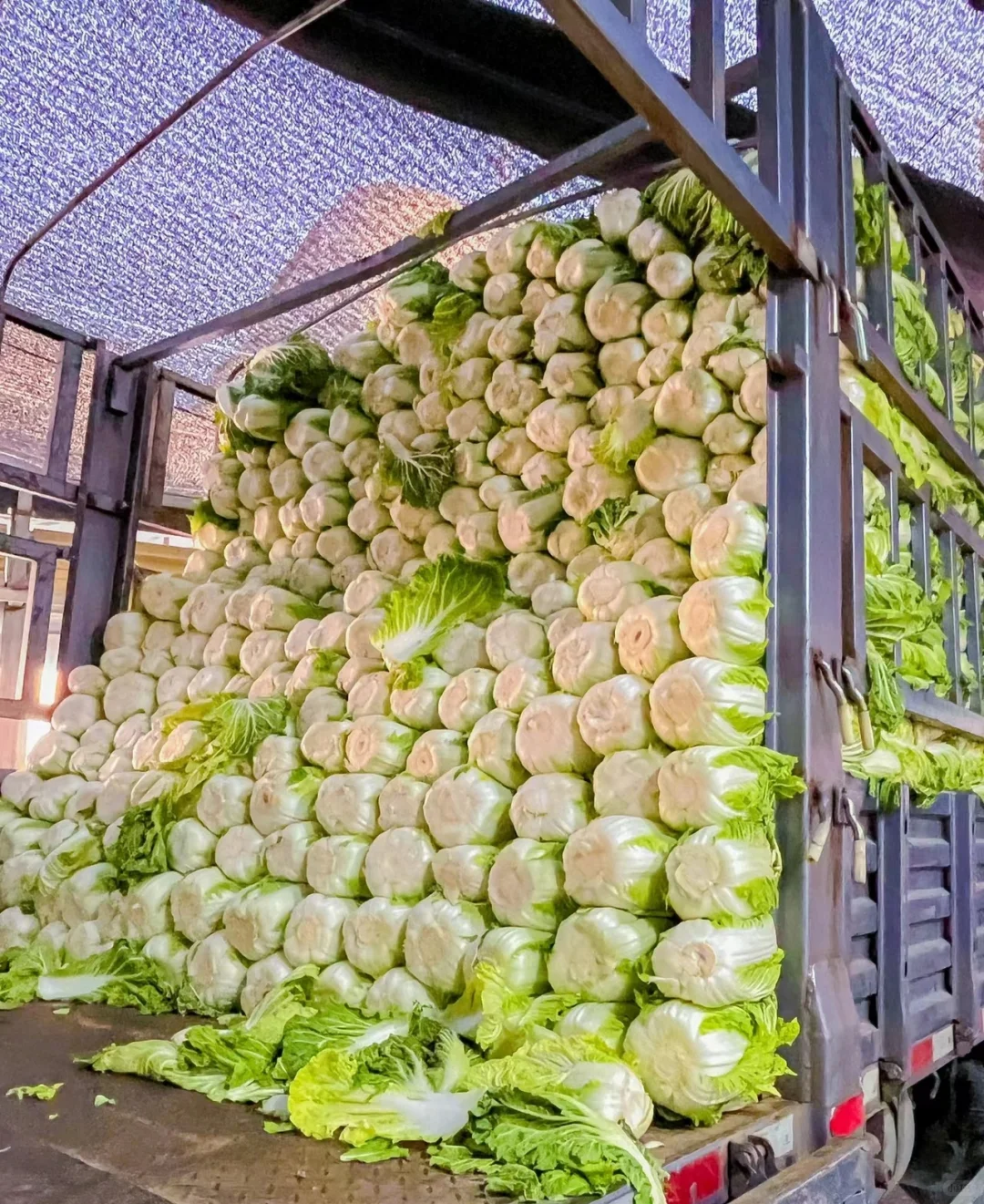 真的破防了！！！