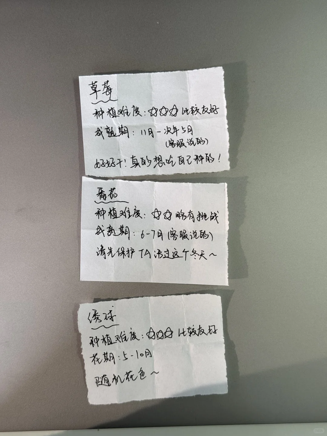 《种一棵树最好的时间是十年前,其次是现在》