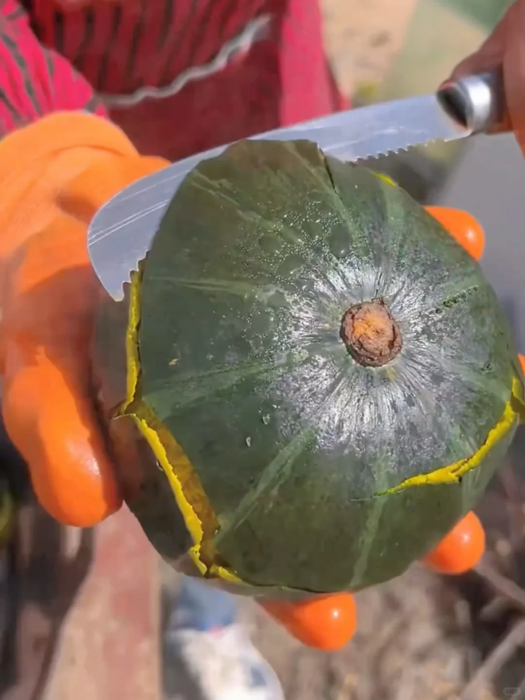 一大早看到，说实话，五味杂陈……??