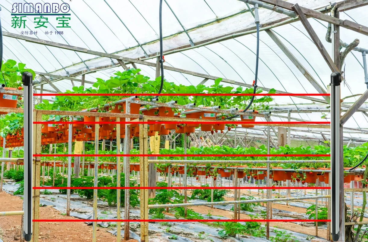 园林的安防系统运用