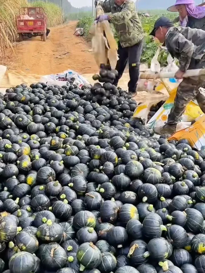 一大早看到，说实话，五味杂陈……??