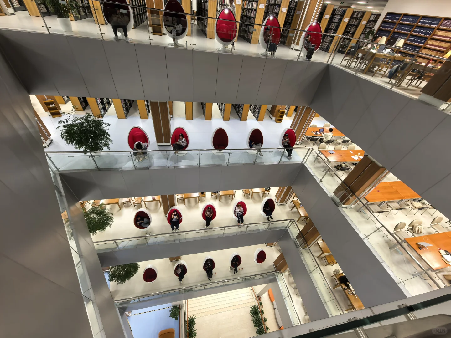 来看看中传图书馆是怎么整活的