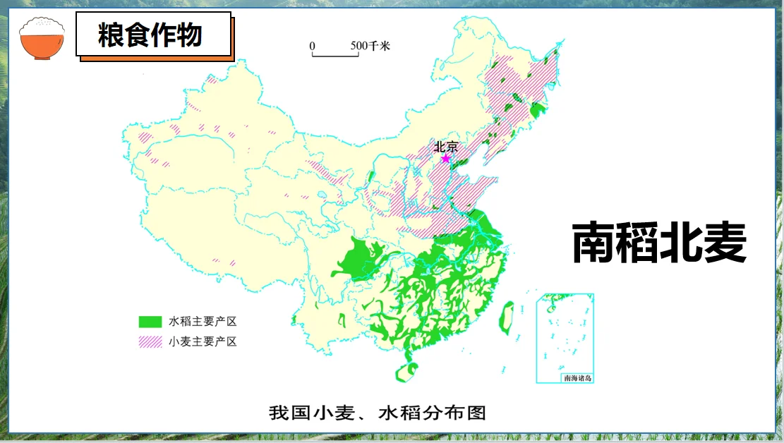 八上4.1中国的农业自用课件分享