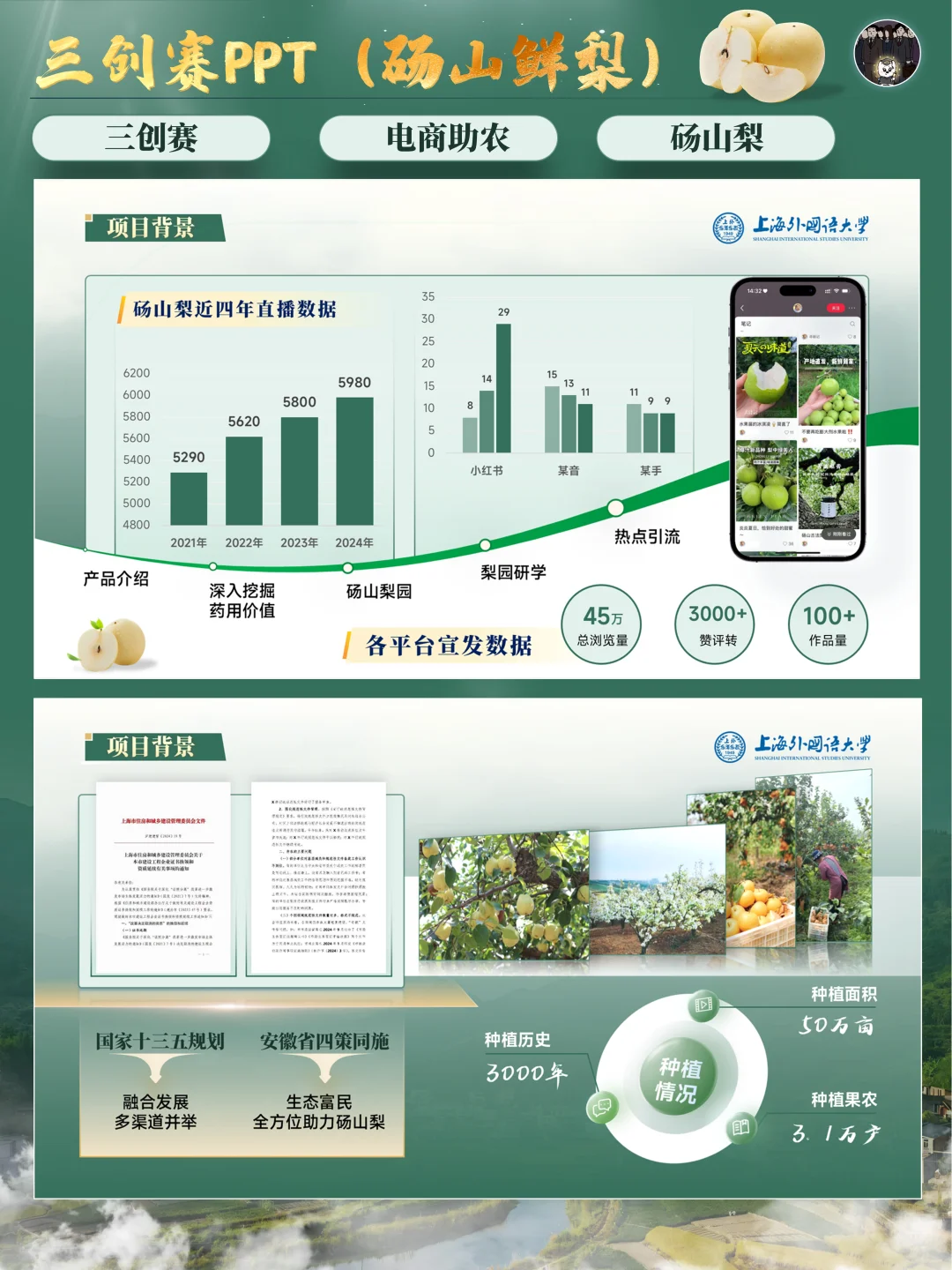 ?三创赛丨乡村振兴赛道电商助农PPT