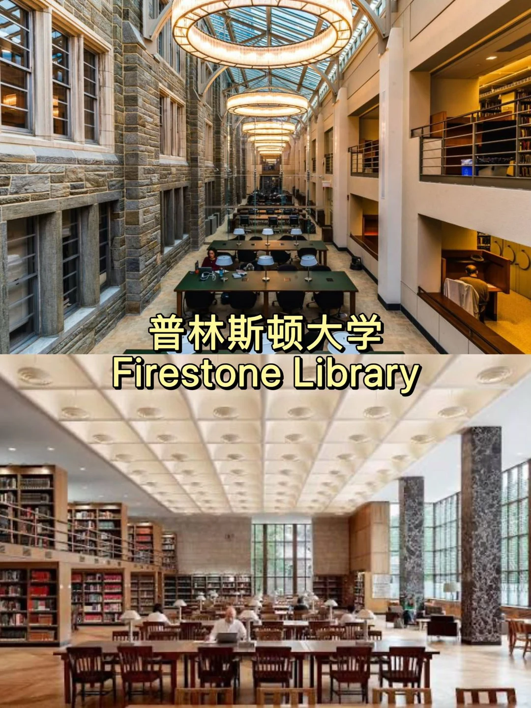 美国大学校园篇✨高颜值图书馆盘点
