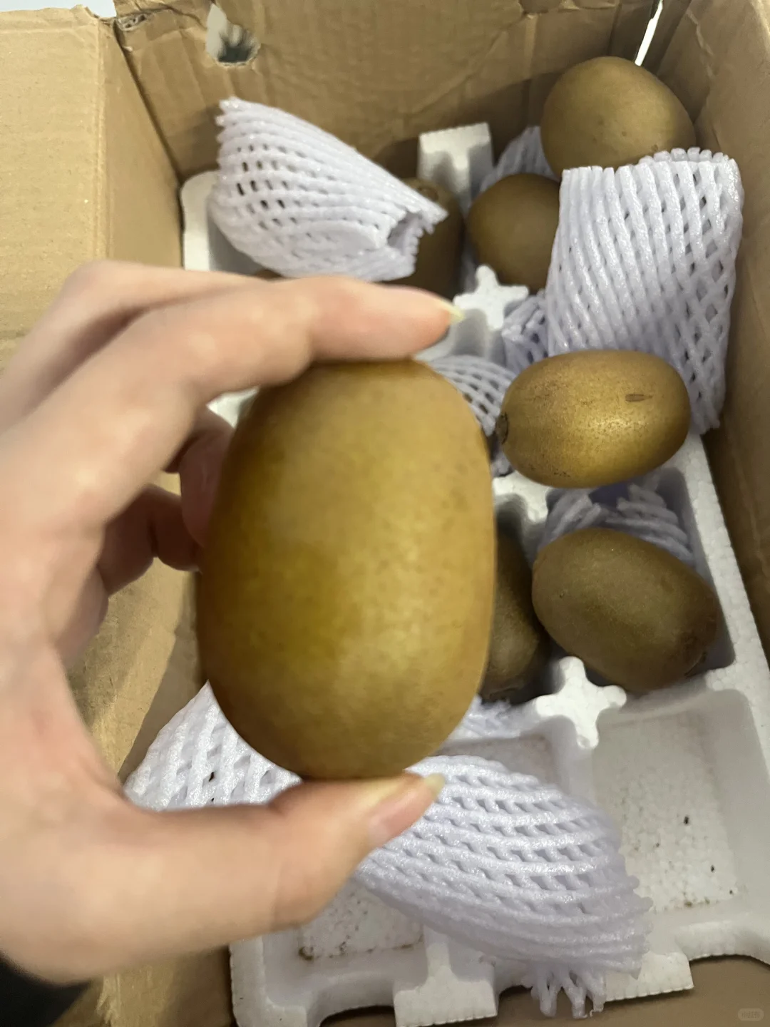 十一月开始你一定要吃的水果~