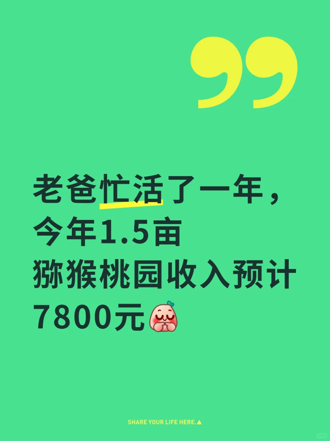 都说猕猴桃贵 来晒晒我家1.5亩猕猴桃园一年