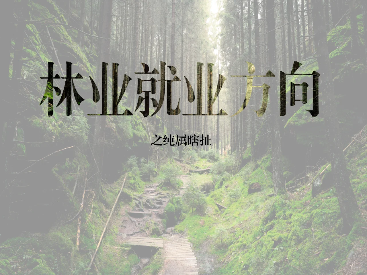 大家期望的薪资是多少呢