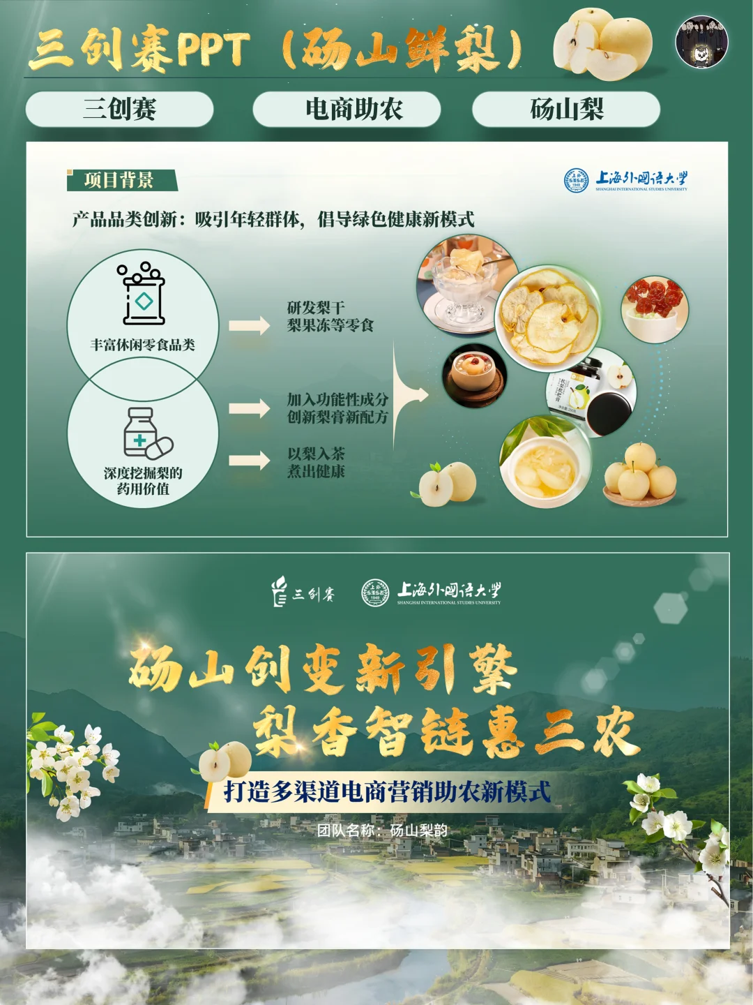 ?三创赛丨乡村振兴赛道电商助农PPT