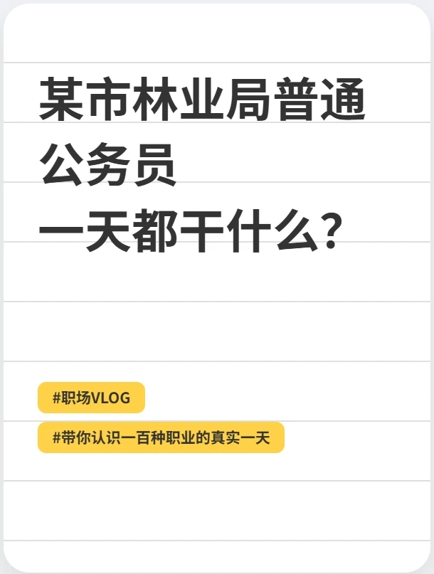 某林业局普通公务员一天都干什么？