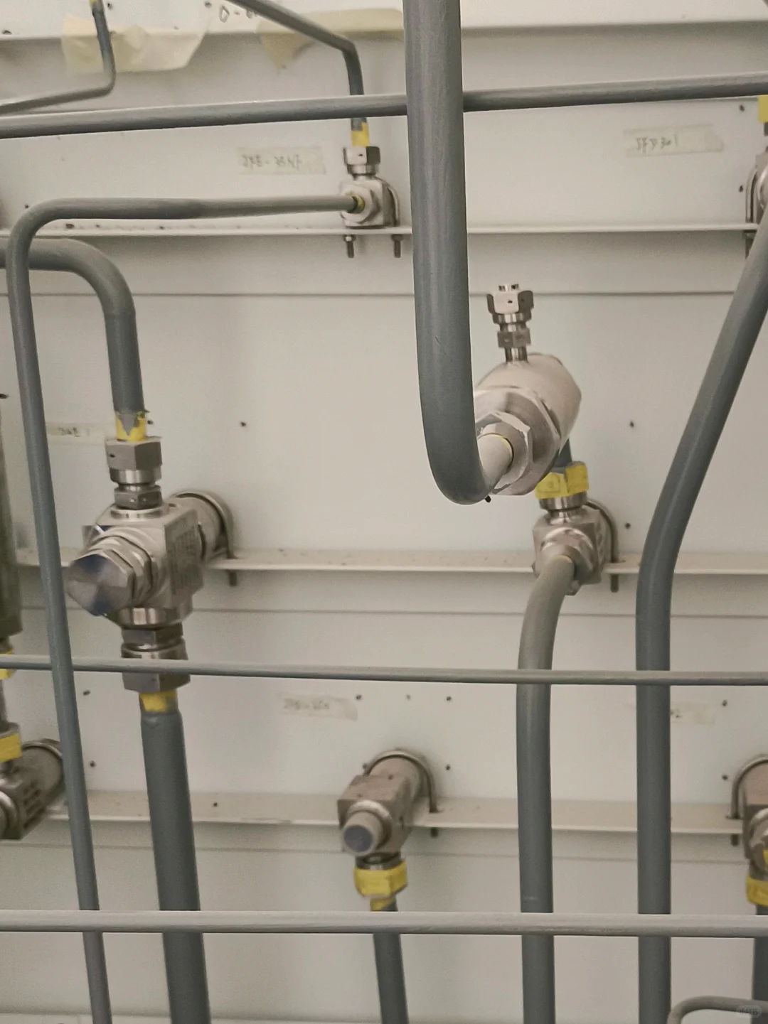 谁懂啊?猜猜看?