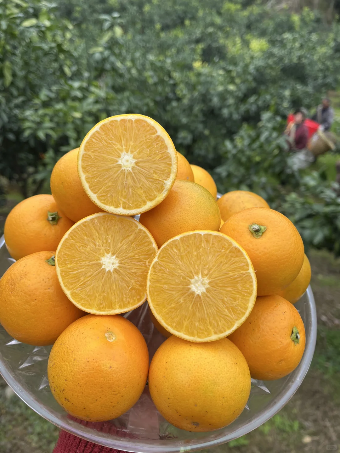 有没有姐妹可以救救这个快被淘汰的水果?