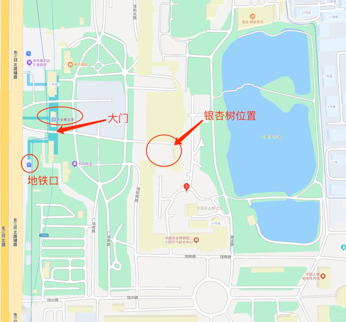 11.19全国农业展览馆｜打卡北京最后的秋天