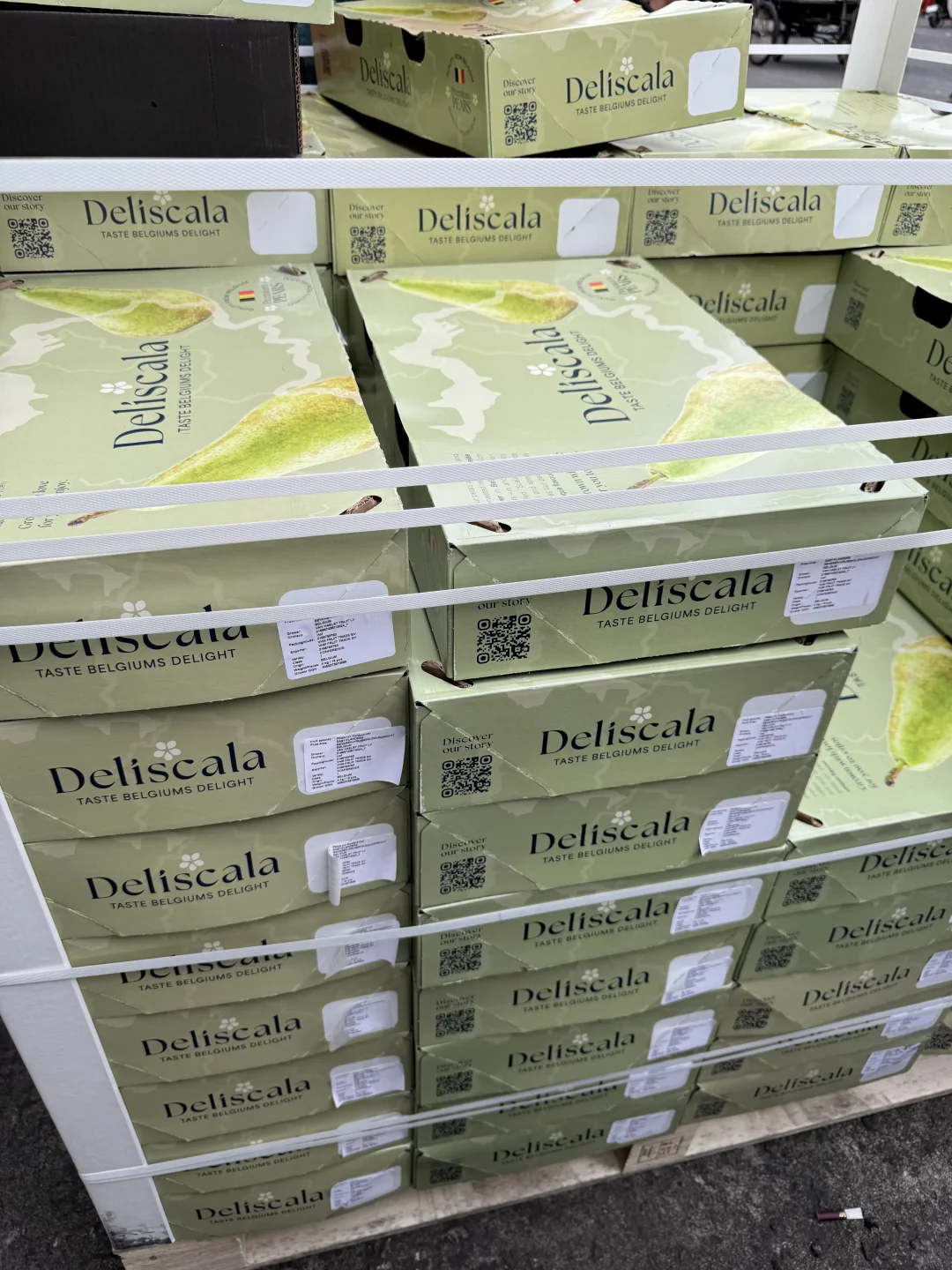 秋冬11月前期应季水果推荐｜好吃的水果品类