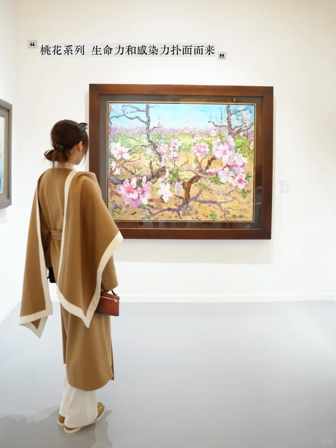 近期Plog☕️审美是需要温度的?️