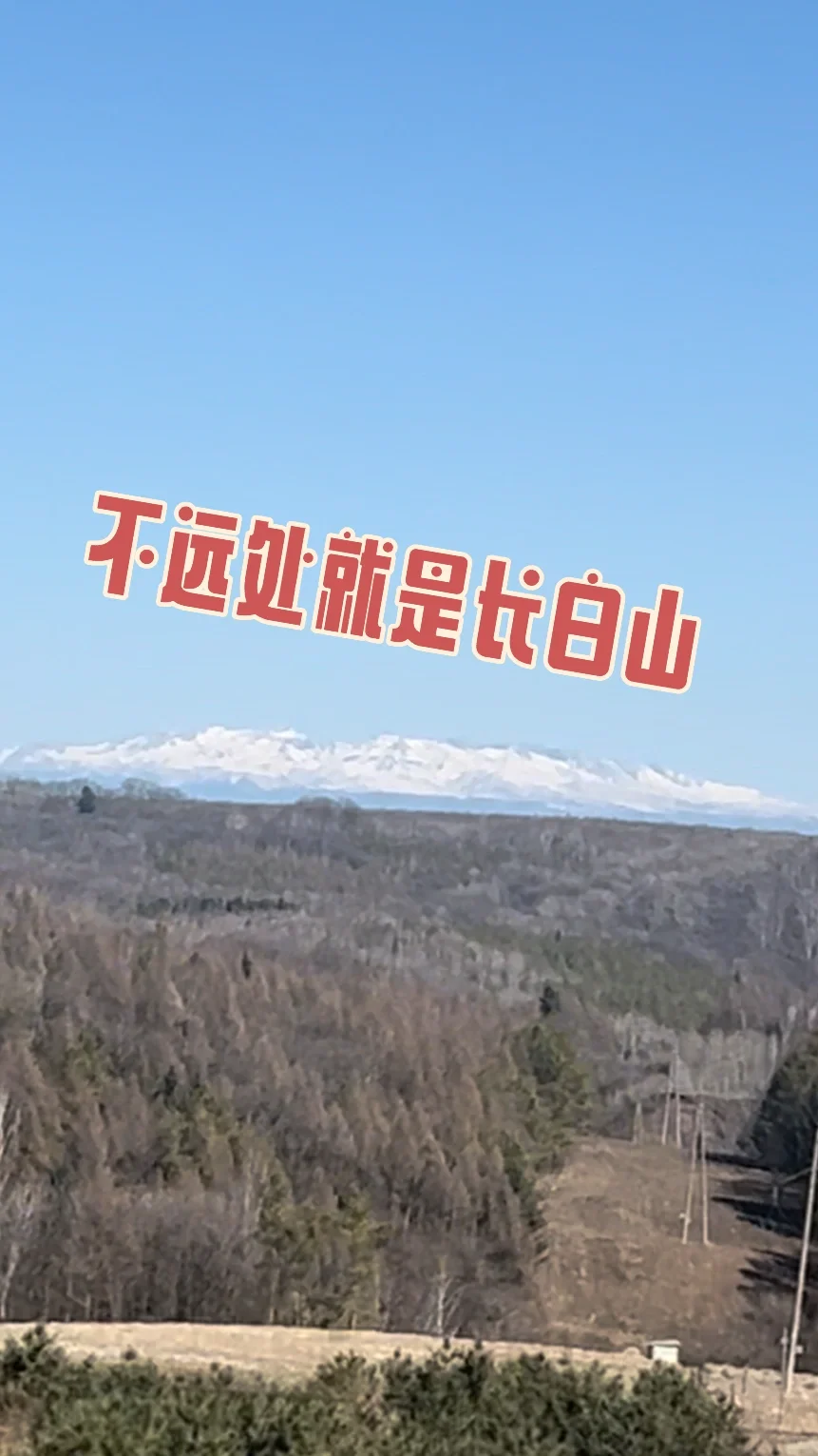 你不知道的长白山林业人