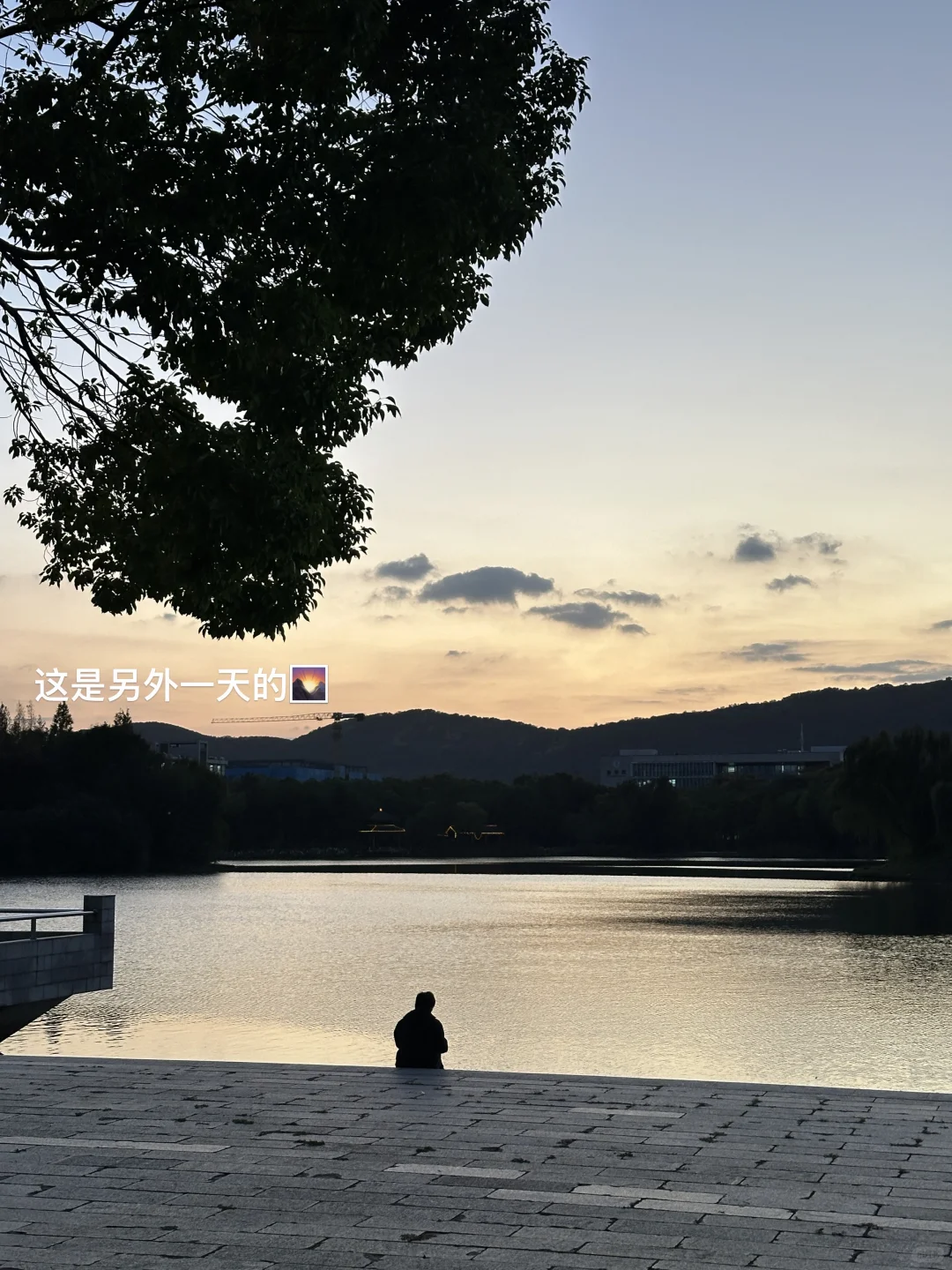 从头到尾呆在图书馆的周日