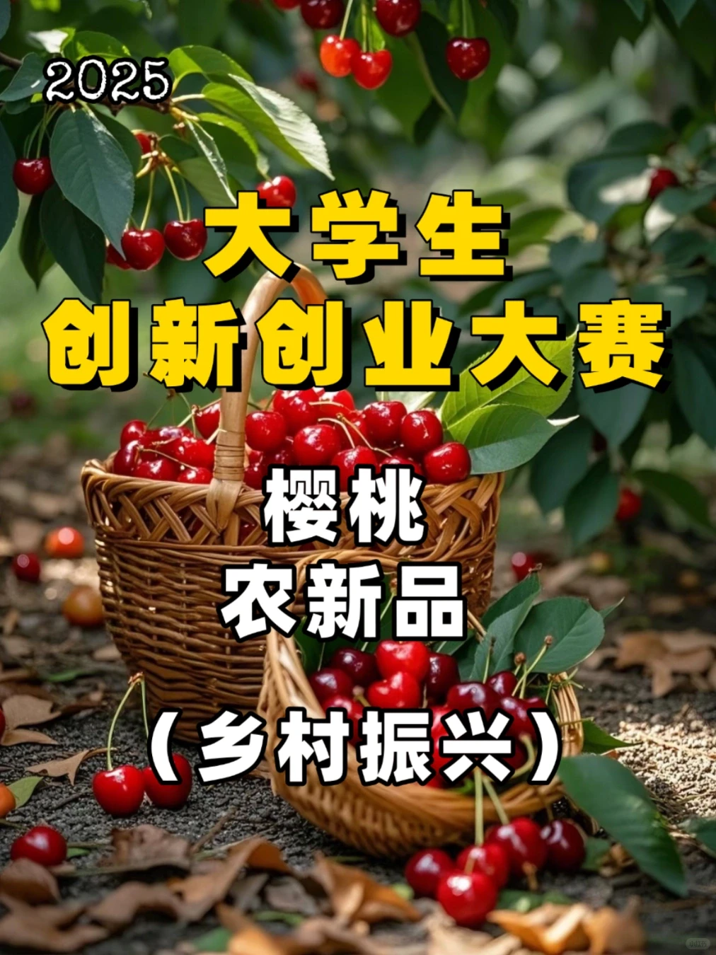 创新创业大赛/农产品-樱桃