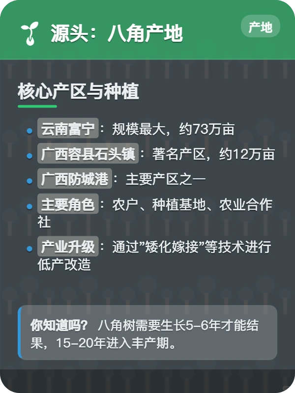 八角供应链全览