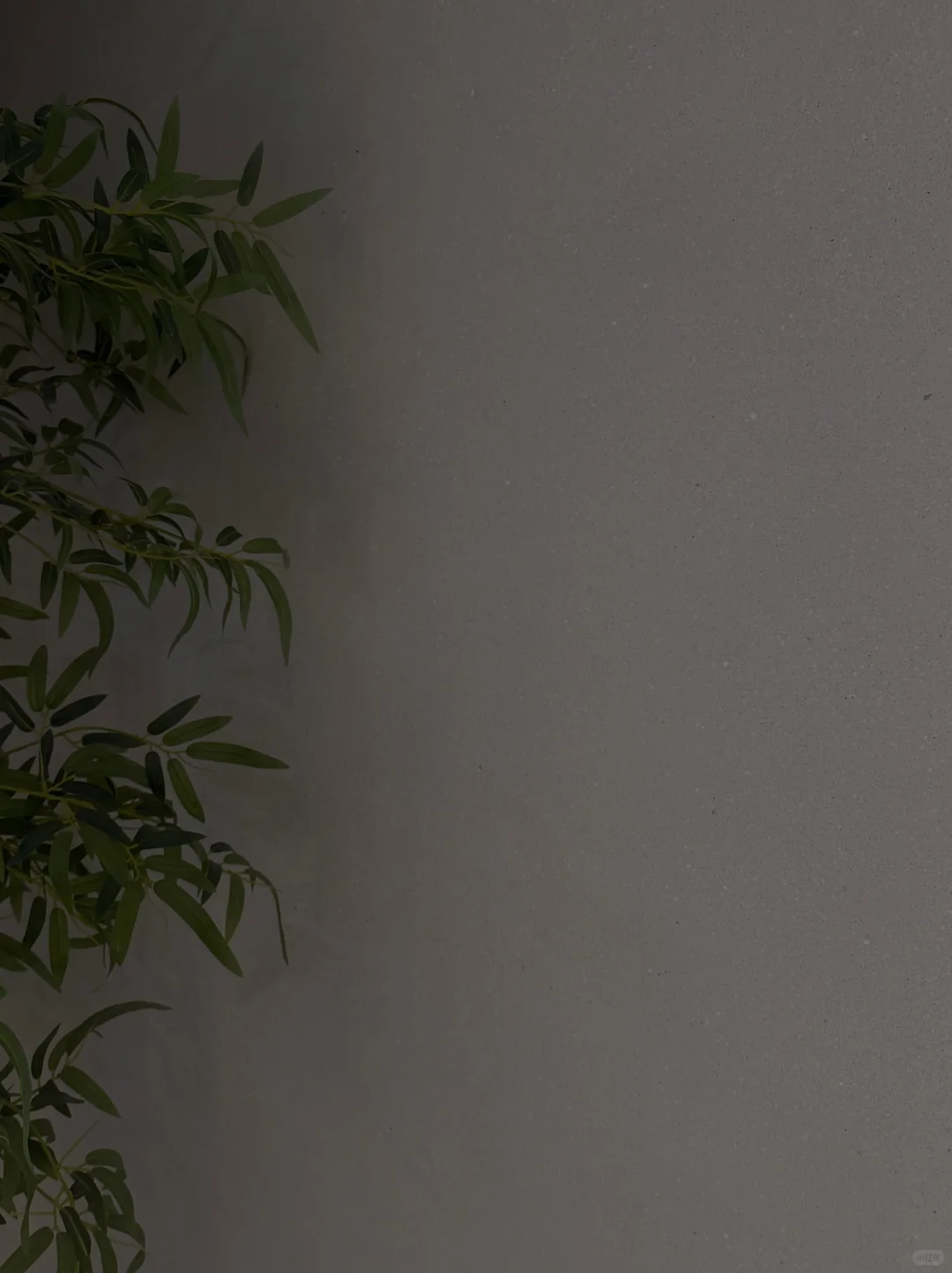 斯塔万格莱姆石艺术涂料，质感天花板！