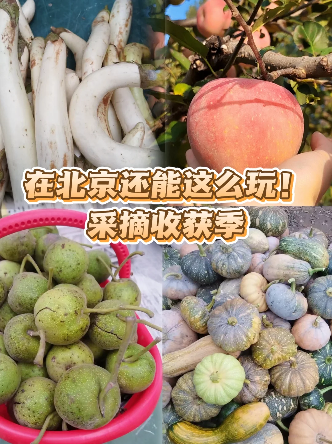 谁说北京秋冬只能逛公园？来昌平苹果小镇！