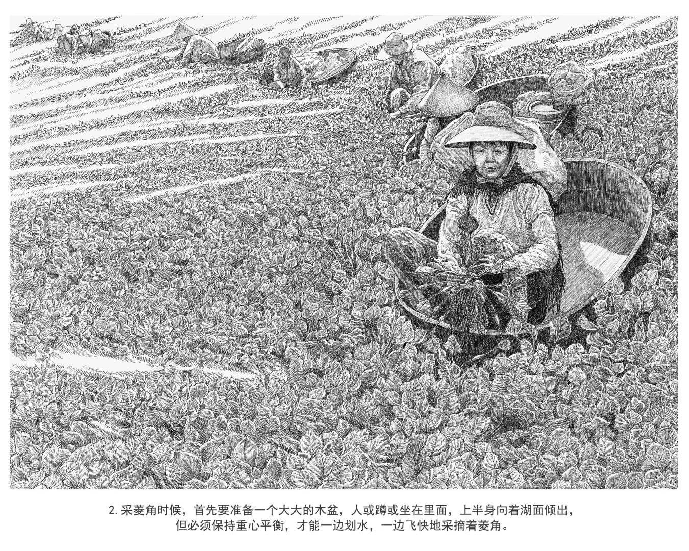 好创意国一（插画）