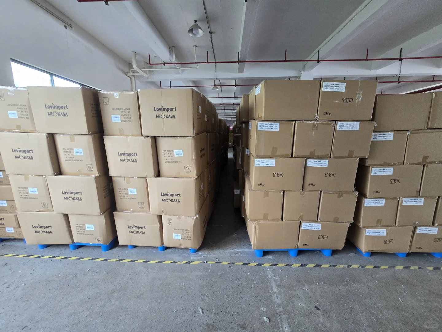 这个行情真的想去要饭了