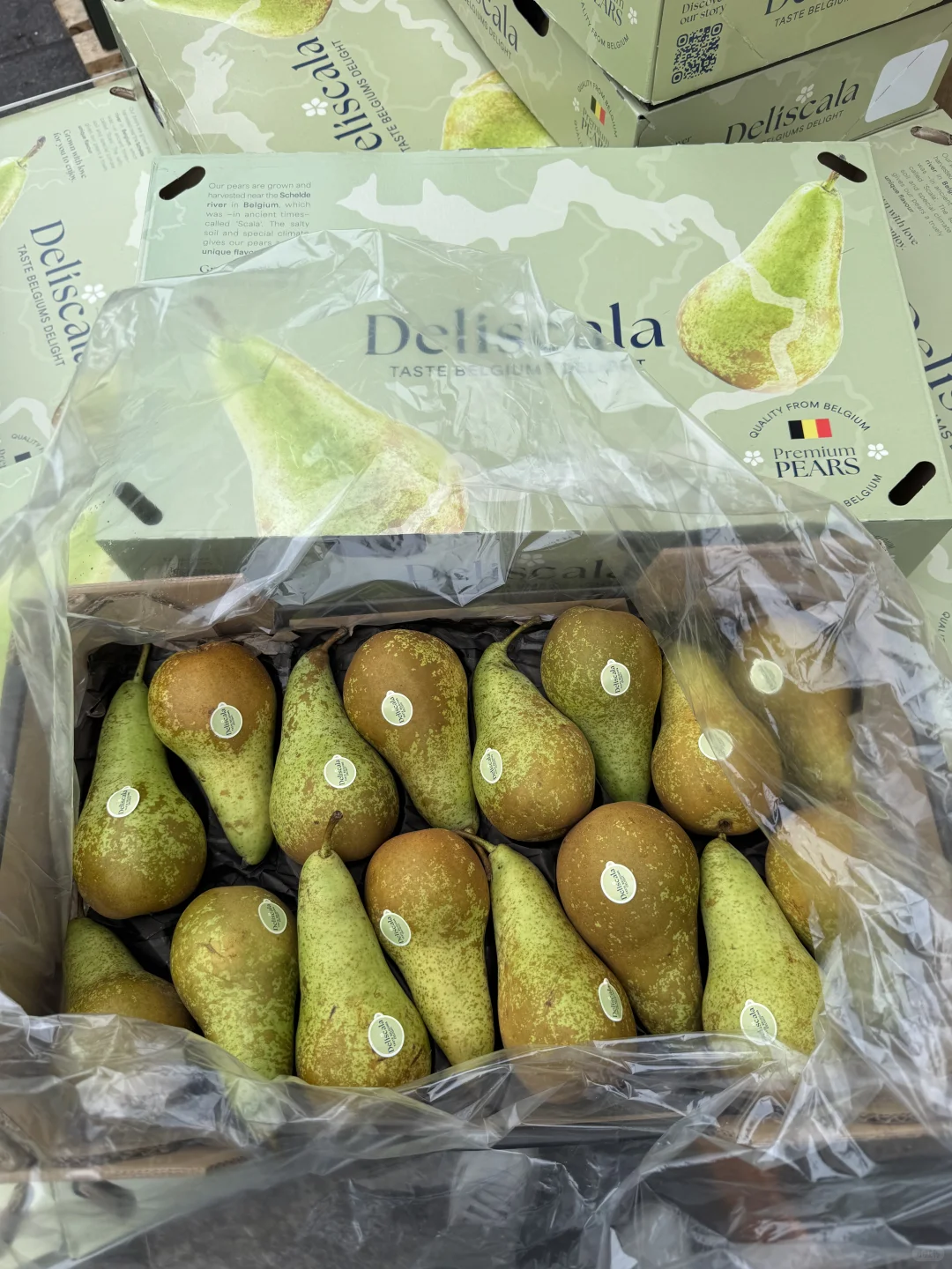 秋冬11月前期应季水果推荐｜好吃的水果品类