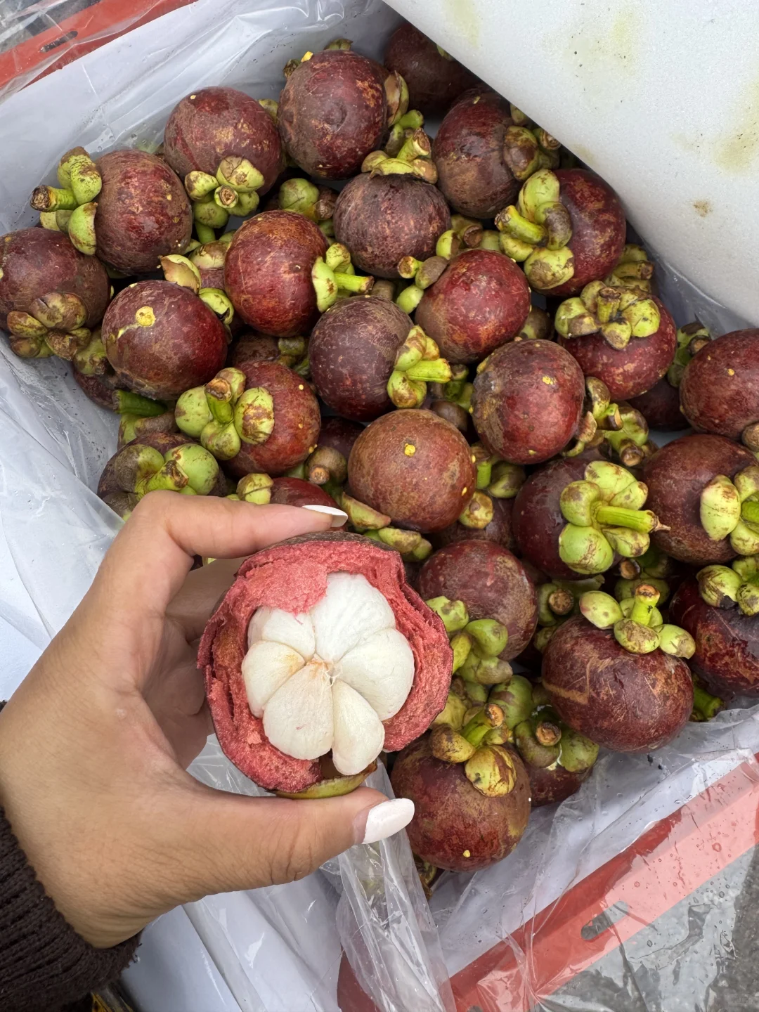 秋冬11月前期应季水果推荐｜好吃的水果品类