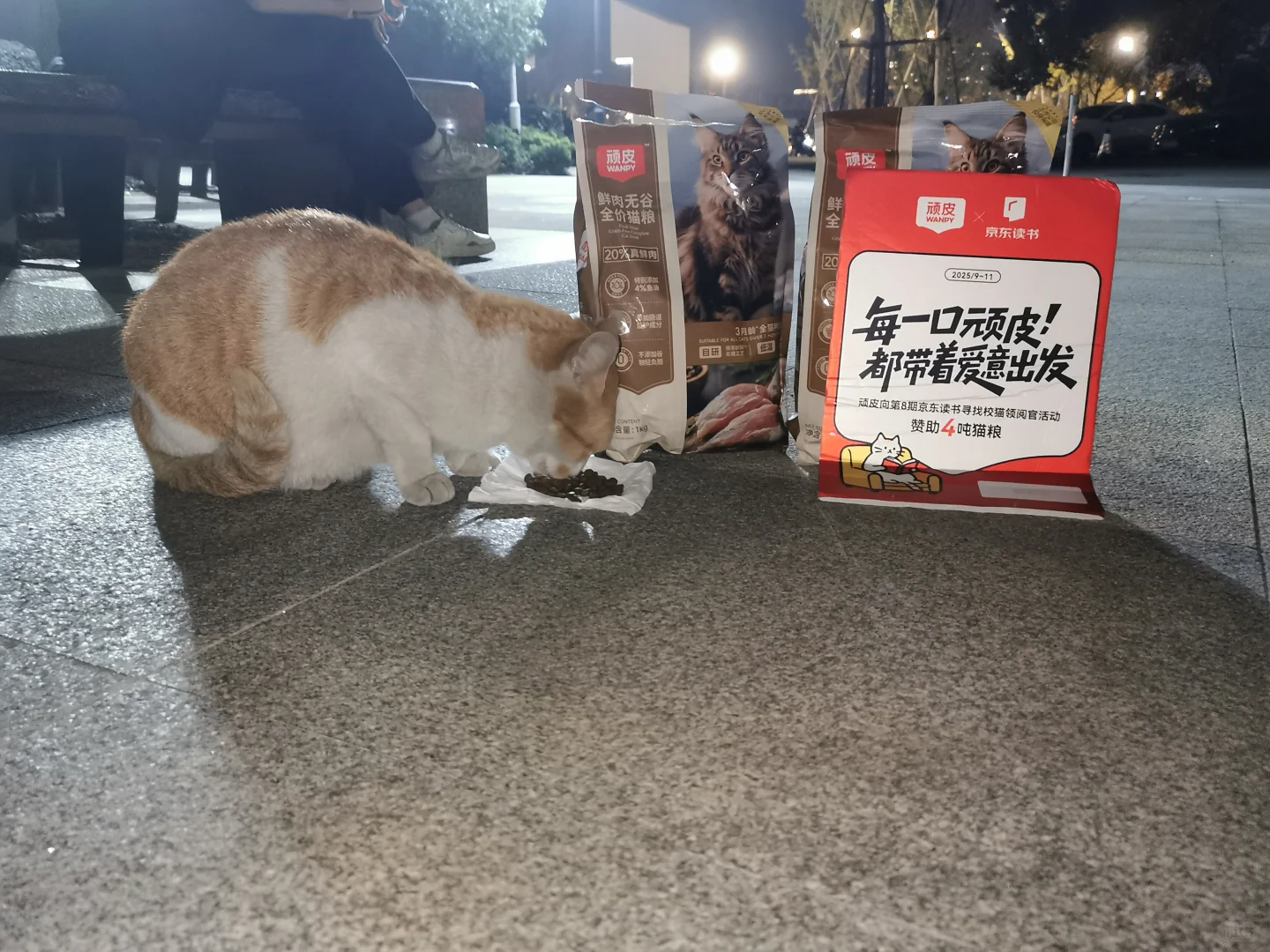 馆长又在图书馆巡逻了